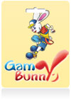 武林英雄 (马服) Bunny点数